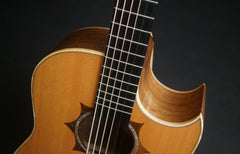 Langejans W-6 guitar at Guitar Gallery