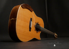 Langejans W-6 guitar glam shot