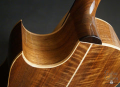 Langejans W-6 guitar heel