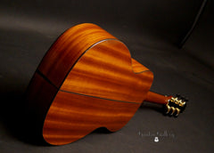 McAlister Lucas 13 fret guitar glam shot back