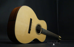 McAlister Lucas 13 fret guitar glam shot