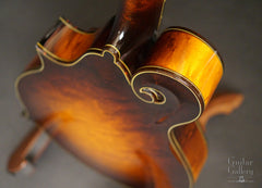 Collings MF-5 varnish mandolin heel
