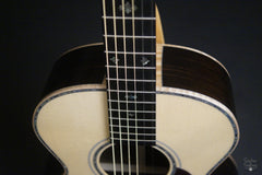 Froggy Bottom M Ltd Brazilian rosewood Twin guitar maple binding