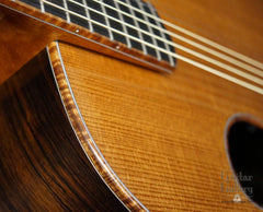 McPherson 4.5 Brazilian rosewood guitar cantilevered neck