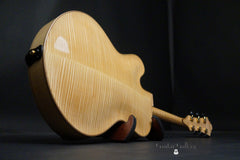 Bills Natura Archtop glam shot back