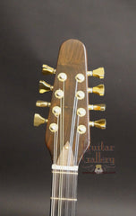 NK Forster bouzouki headstock