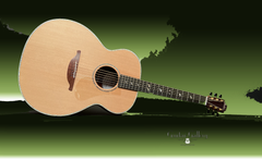 Lowden Special O-38 Bubinga Guitar Ltd Edition glam shot