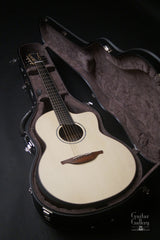 Lowden Pierre Bensusan Signature Model Guitar inside case