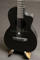 RainSong Graphite CH-PA1100NSG Parlor Guitar