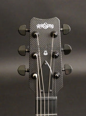 RainSong Graphite CH-PA1100NSG Parlor Guitar