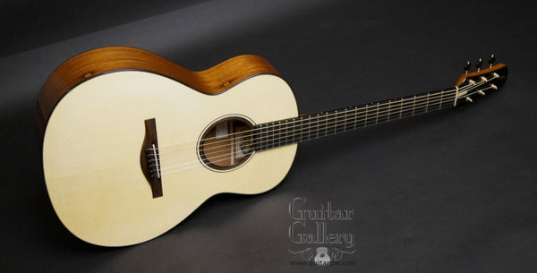 Rasmussen model C 
