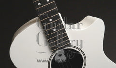 Rainsong RS1-LE guitar