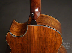 Ryan Signature Series Cathedral guitar back detail