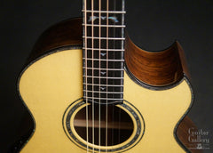 Ryan Signature Series Cathedral guitar front detail