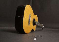 RainSong V-PA1100NS parlor guitar  glam shot