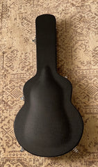 Rainsong Guitar case