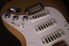 Ronin Morningstar Electric Guitar controls