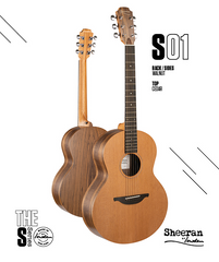 Sheeran by Lowden S01 guitar