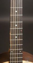 Sheeran S02 guitar fretboard