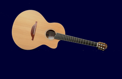 Lowden S35J-X Nylon string guitar art shot