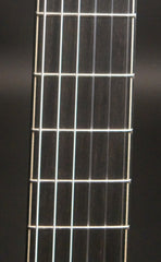 Lowden S50J-BR-AS guitar fretboard