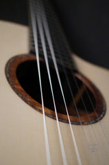 Lowden S50J-BR-AS guitar glam shot