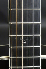 Santa Cruz guitar fretboard