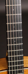 Santa Cruz custom F guitar fretboard