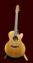 Santa Cruz FS Guitar at Guitar Gallery