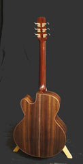Santa Cruz FS Guitar full back view