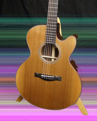 Santa Cruz FS Guitar