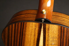 Simpson guitar (fancy rosewood)