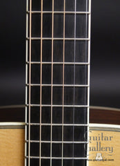 Santa Cruz guitar fretboard