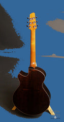 Strahm Eros guitar African Blackwood back full view
