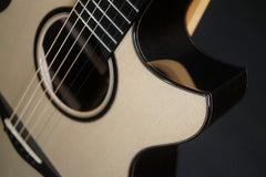 Strahm Eros guitar detail