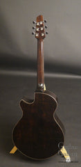 Strahm African Blackwood guitar back full