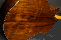 Strahm Eros guitar Brazilian rosewood back