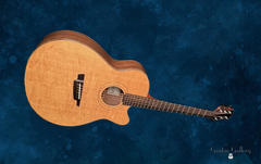 Schwartz Pinnacle guitar glam shot