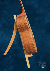 Schwartz Pinnacle guitar side