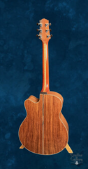 Schwartz Pinnacle guitar full back view