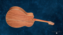 Schwartz Pinnacle guitar glam shot back