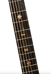 Sheeran Tour Edition Guitar fretboard inlays