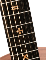 Sheeran Tour Edition Guitar fretboard