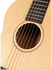 Sheeran Tour Edition Guitar rosette