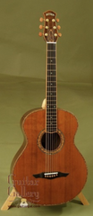 Petros Guitar: Used Salvaged Redwood Top Tunnel 13