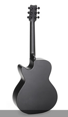 Rainsong CH-WS1000NS guitar back