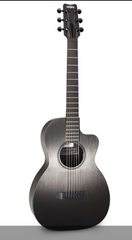 RainSong Graphite CH-PA1100NSG Parlor Guitar