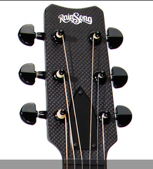 RainSong Graphite CH-PA1100NSG Parlor Guitar
