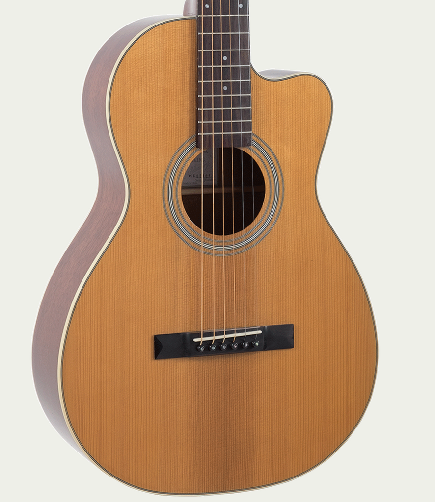Recording King RP1-16C Guitar – Guitar Gallery Recording King RP1-16C Guitar – Guitar Gallery