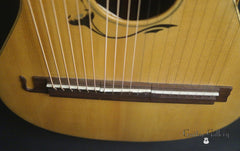 Sedgwick Harp guitar bridges